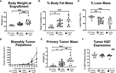 Separate and combined effects of advanced age and obesity on mammary adipose inflammation, immunosuppression and tumor progression in mouse models of triple negative breast cancer